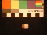 L_V19e3046 A16.61 Q829 dM bd f206